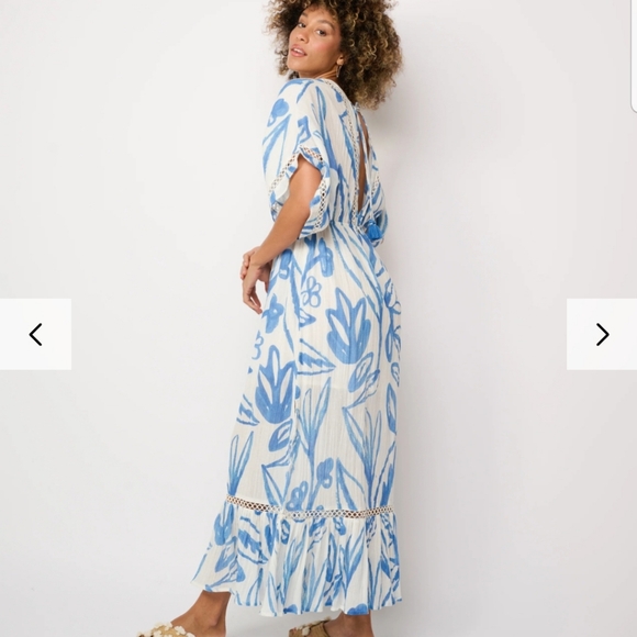 ZL Europe Dessin Blue White Maxi Dress - Picture 3 of 16